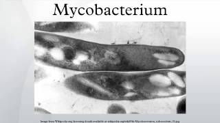 Mycobacterium [upl. by Happy]