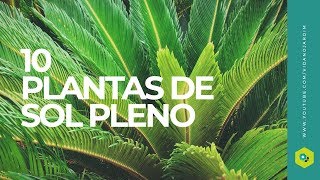 10 PLANTAS de SOL PLENO [upl. by Tichonn]