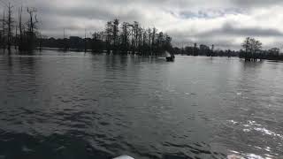 Arkansas duck hunting 2018 edge boats [upl. by Nicky992]