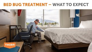 What to Expect with a Bed Bug Treatment [upl. by Dolf]