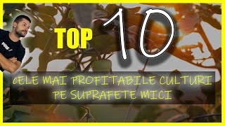 Cele mai Profitabile 10 Culturi pe Suprafete Mici [upl. by Brouwer]