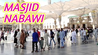 Best Video Of Masjid Al Nabawi  Madina madina masjidnabawi shortvideo shorts [upl. by Blight994]