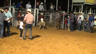 Jaripeo y Niños montando a los Borregos [upl. by Errecart]