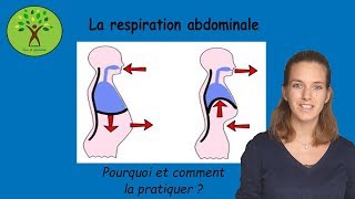 Respiration abdominale  pourquoi et comment la pratiquer [upl. by Atiuqahc]