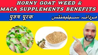 Horny goat weed with Maca benefits  Male issues [upl. by Yelkrab489]