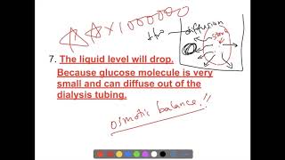 HKDSE Biology Osmosis Part 2 [upl. by Marina]