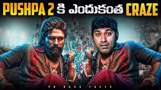 Pushpa 2 Movie Craze Business Strategy Explained  Allu Arjun Sukumar  Telugu  VR Raja Facts [upl. by Amelia193]