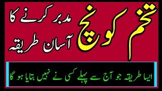 Tukhme Konch mudabbar karny ka asan tareeqa By Hakeem Zia Shahid [upl. by Drarrej]