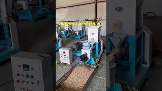 How to make pet food as dog food or cat food with floating fish feed pellet machine fishfeed [upl. by Aloivaf]