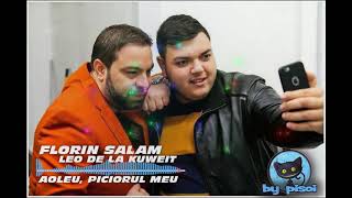 Florin Salam amp Leo de la Kuweit  Aoleu piciorul meu  oficial video  2019 By Pisoi [upl. by Minny]