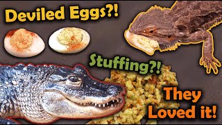 We made our Reptiles Deviled Eggs for Thanksgiving [upl. by Nesyla2]