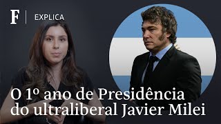 Entenda principais pontos de economia políticas doméstica e externa da gestão de Milei na Argentina [upl. by Neerahs]