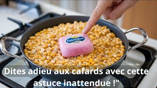 Astuce incroyable pour se débarrasser des cafards avec du popcorn et du savon [upl. by O'Donnell]