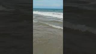 2024 pondicherry beach beachvibes beachlife music [upl. by Jehovah293]