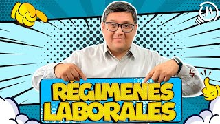 Regímenes Laborales  Sector Privado [upl. by Oilenroc]