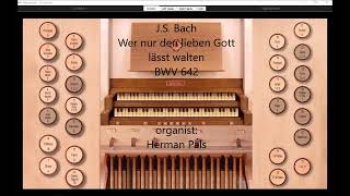 JS Bach Wer nur den lieben Gott lässt walten BWV 642 Hauptwerk Sonarte organ Giubiasco [upl. by Tomlin842]