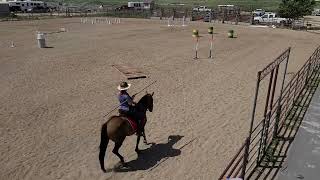 working Equitation horse show level 1 Essy [upl. by Roth]