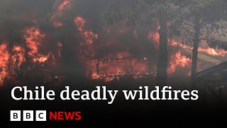 Chile forest fires At least 51 dead say officials  BBC News [upl. by Sprung831]