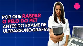 Tricotomia uma preparação INDISPENSÁVEL para o exame de ultrassonografia veterinária [upl. by Ruckman]