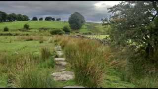 Nature sounds  Heather moorland birdsong [upl. by Corrine]