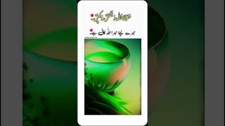 ☔Jumma Mubarak Status 2024💕♡ Jumma Mubarak Whatsapp Status ♡New Islamic WhatsApp status [upl. by Aicirtam8]