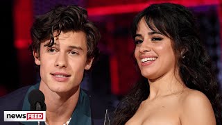 Shawn Mendes amp Camila Cabello’s Relationship STOPPED Working After THIS [upl. by Ulberto636]