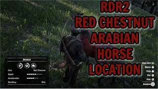 RDR2 RED CHESTNUT ARABIAN HORSE LOCATION [upl. by Moina411]