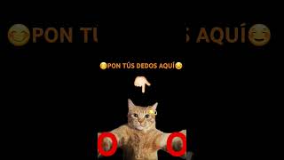 PON TÚS DEDOS AQUÍ FILTRO DE GATO [upl. by Noreik]