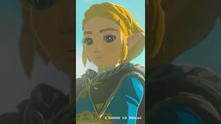 Meilleur passage ever humour lhinoxdenerac zelda zeldatotk botw totk zeldatearsofthekingdom [upl. by Intruok51]