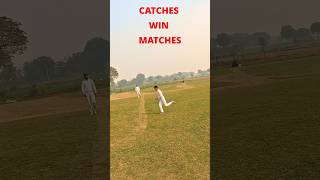 Cricket Match Catches 😉  Catches Win Matches 🏆 cricket shots shorts [upl. by Sallyann]