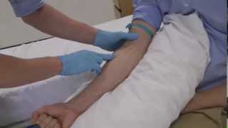 How to select the best vein for clinical skills cannulation and venepuncture [upl. by Nevet507]