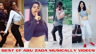 Abu zada  Musically videos  TikTok Compilation  Musically Videos by SS [upl. by Ranitta]