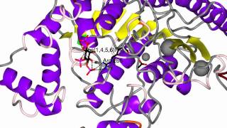 Histone deacetylase [upl. by Eduardo]