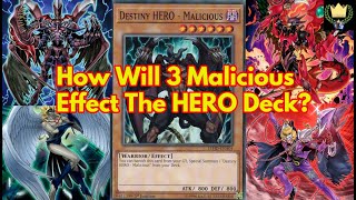 How Will 3 Malicious Effect The HERO Deck YuGiOh TCG Discussion Plus Combo Guide [upl. by Syla]