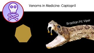 Venom in Medicine Captopril [upl. by Enairb474]