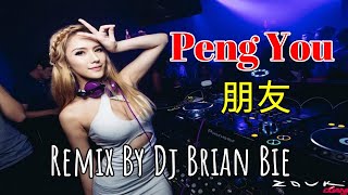 Peng You  朋友  周华健  Emil Chau Electro Manyao By Dj Brian Bie dj抖音版2023 [upl. by Gnahk]