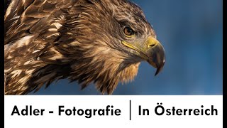 Adler Fotografie in Österreich [upl. by Annyl]