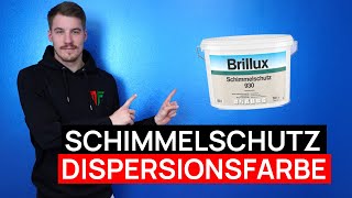 DIE SCHIMMELSCHUTZ DISPERSIONSFARBE  Schimmelschutz 930 [upl. by Dnomse]