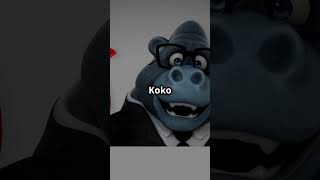 Koko the Gorilla ASL Prodigy fact [upl. by Emlin]