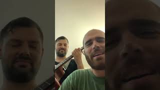 Wake Me Up by avicii ft AloeBlacc ma con iossa e la mia lakewoodguitars  Acoustic Cover [upl. by Kantos]