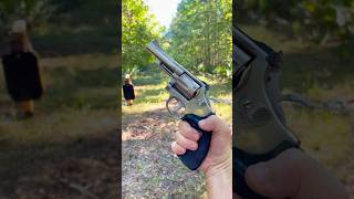 Will 38 Special Smith and Wesson Revolver Spin 38 inch steel shorts magnum [upl. by Nnahteb211]