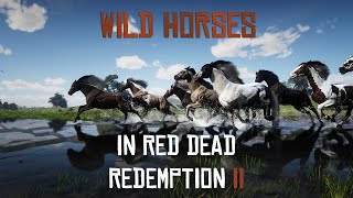 Wild Horses  Red Dead Redemption 2 Video [upl. by Nolita]