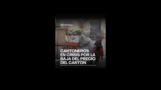 Cartoneros en crisis por la baja del precio del cartón [upl. by Ailahk]