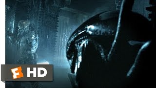 AVP Alien vs Predator 2004  Alien vs Predator Scene 25  Movieclips [upl. by Tayler]