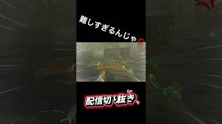 クリアできる人いる？ ティアキン実況 ティアキン ゼルダの伝説ティアーズオブザキングダム ゼルダの伝説 実況 配信切り抜き RTA 難しい [upl. by Eidroj276]