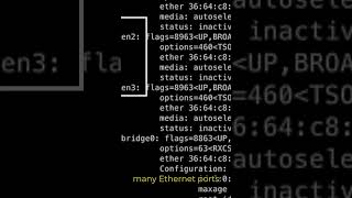 What are Linux Commands IPConfig and IfConfig [upl. by Imugem]