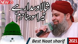 ya shafi e umam  Lillah kardo karam Punjabi Urdu Mix Naat Sharif  Shala Wsda Rehe Tera Sona Haram [upl. by Solita]