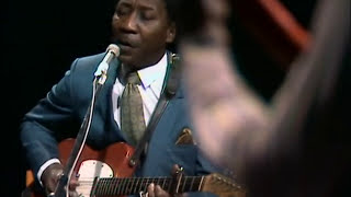 Muddy Waters  Honey Bee 1970 [upl. by Luella398]