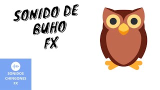 Sonido de Búho 2 🔊 Efecto de Sonido 🦉 [upl. by Anitahs100]