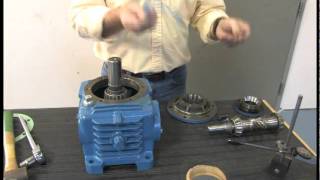 How To Change Bearings on Cone Drive Gearbox [upl. by Koosis]